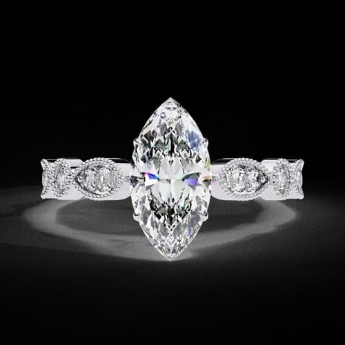 Marquise D’Amour