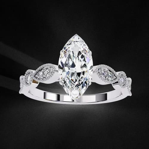 Marquise D’Amour 2