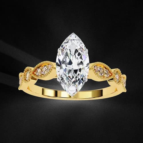 Marquise D’Amour 3