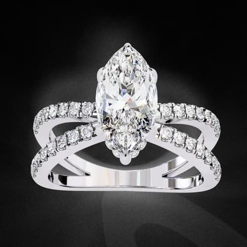 Marquise D’Amour 2