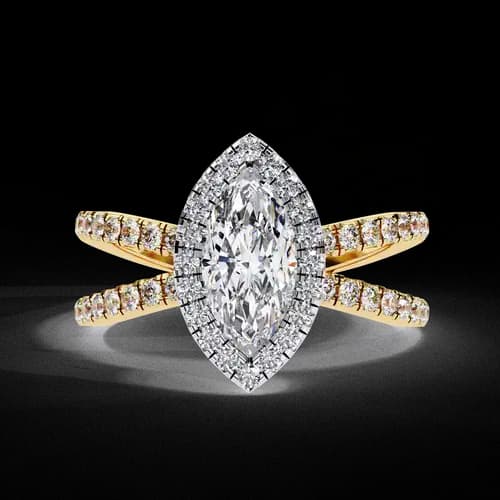 Etoile Marquise 3