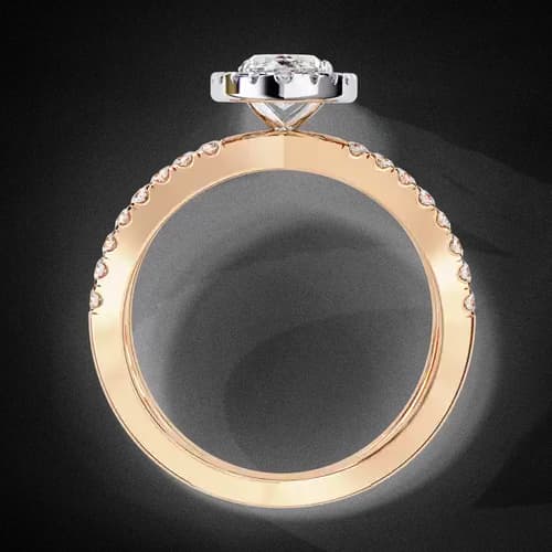 Etoile Marquise 4