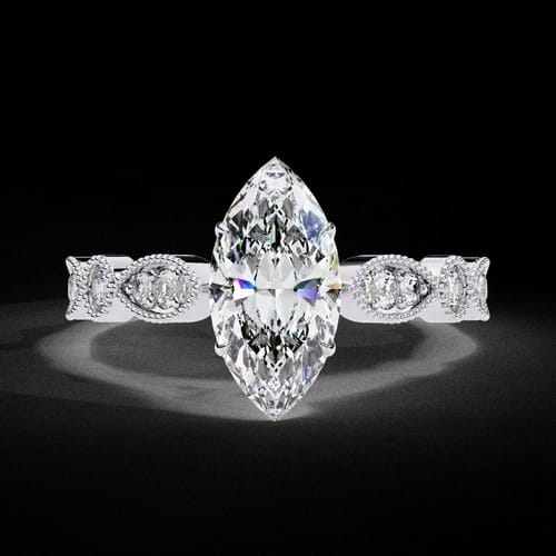 Marquise D’Amour 1