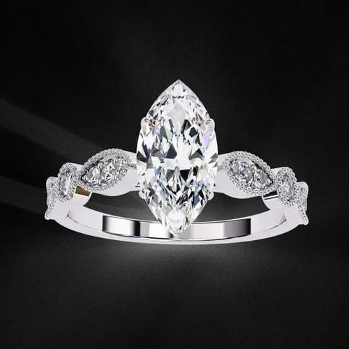Marquise D’Amour 2