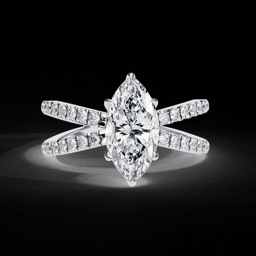 Marquise D’Amour 1