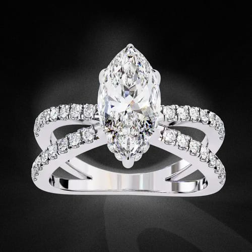 Marquise D’Amour 2