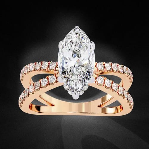 Marquise D’Amour 3