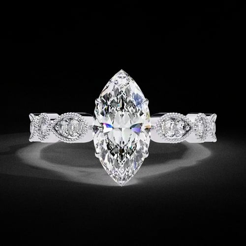 Marquise D’Amour