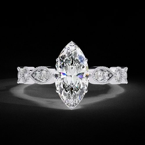 Marquise D’Amour