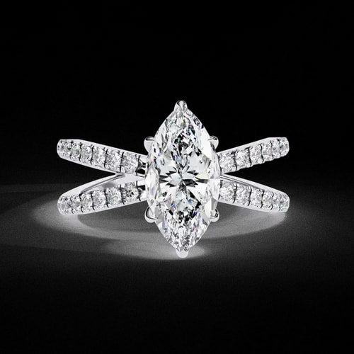 Marquise D’Amour